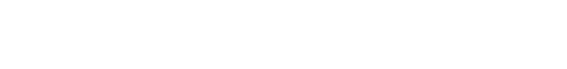 Endress+Hauser